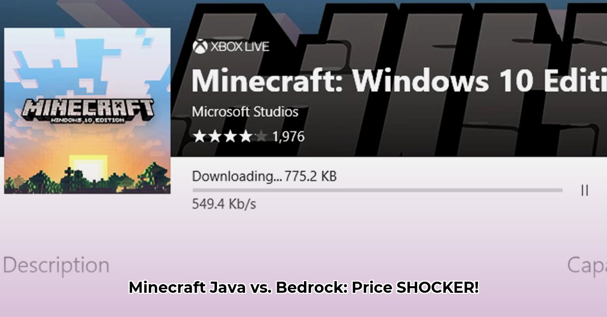 minecraft-download-cost